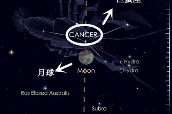 巨蟹座的命运揭秘：温柔巨蟹背后的星座密码与人生哲学