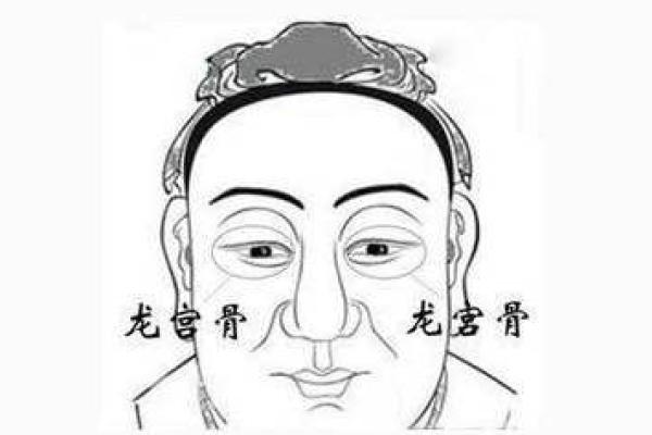 零零后马是什么金命：探寻命理与个性之美