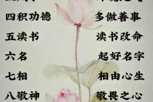 探秘命理：了解离命与东西命背后的智慧