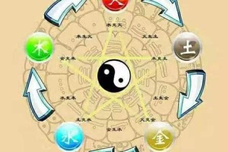 木命人适合找什么命人？探寻命理的和谐之道