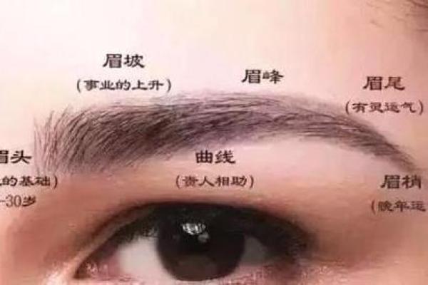 解析：脸长男人的命运与性格，揭示成功的秘密