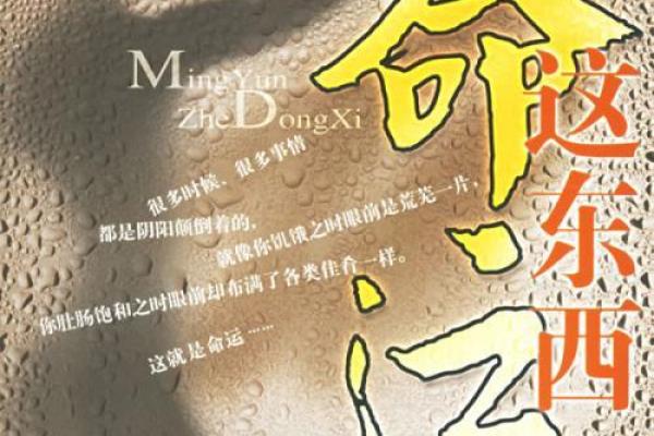 探秘历代皇后命格：她们的命运与爱情交织的秘密