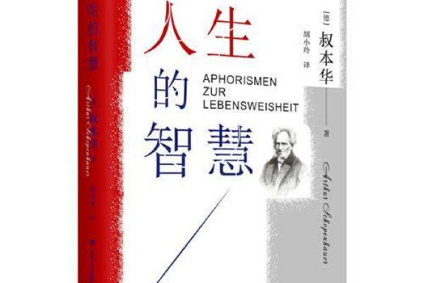 六九年男命解析：穿越时空的命理智慧与人生启示