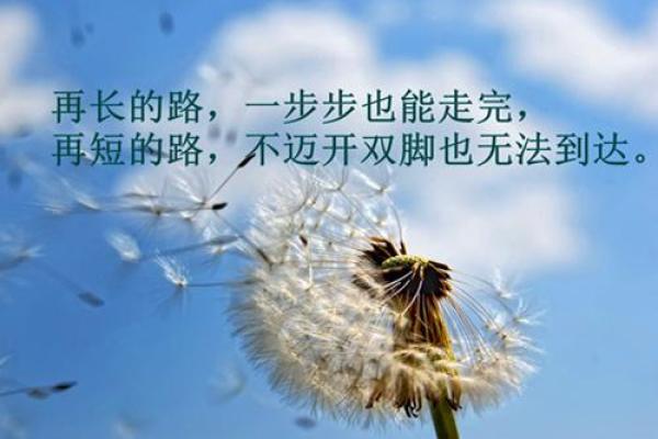 炉中火命与其他命理的最佳搭配，探索人生的和谐美!