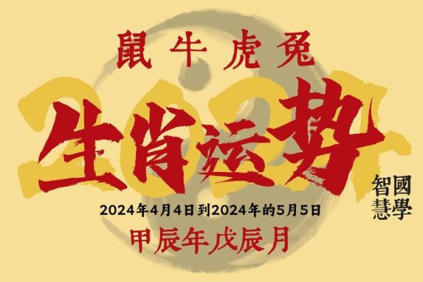龙年命理解析：后年龙年的不同命理运势分析