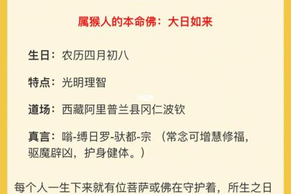 木命妈妈的理想宝宝：生肖与命理的完美结合