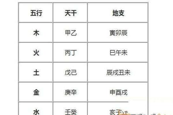 龙年五行解析：属什么命？如何借势而为？