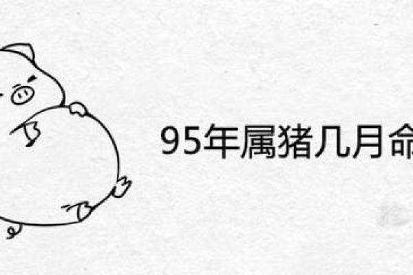 探寻九五年猪命的独特魅力与命运解析