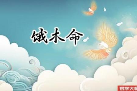 木命缺土的人适合从事哪些行业？揭开命理与职业选择的秘密！
