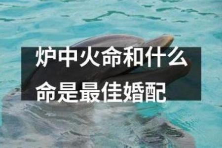 林中火命与其他命格的完美搭配与人生启迪