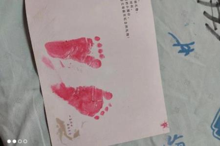 六月出生的虎宝宝：阳光下的勇者与成功之路