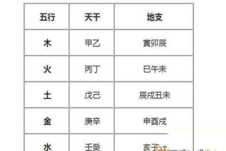 龙年五行解析：属什么命？如何借势而为？