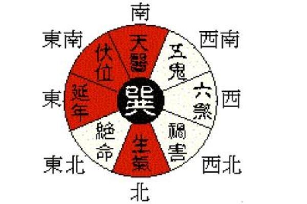 适合木命的命格选择：与自然和谐共生的智慧之路