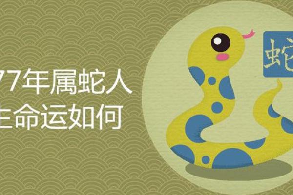 龙年蛇时出生的命理分析与人生运势探讨