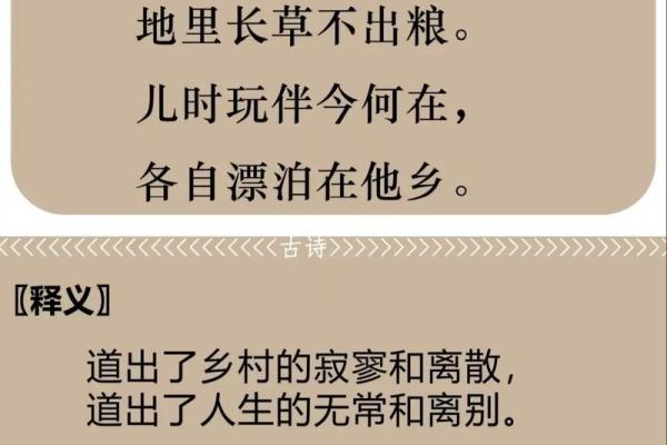 命运的无常与奋斗：从“没那种命”看人生的哲理