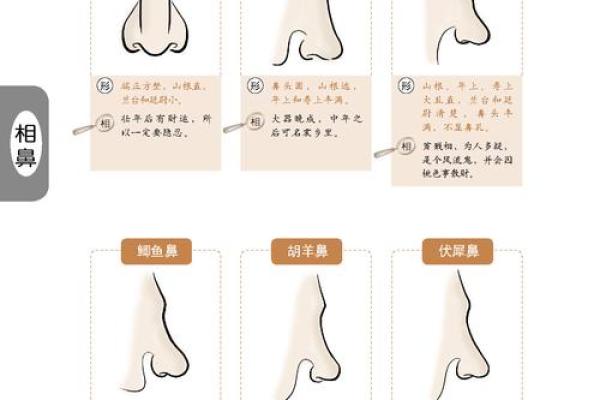 木命的人适合佩戴哪些饰品？探索五行之美与风水奥秘！