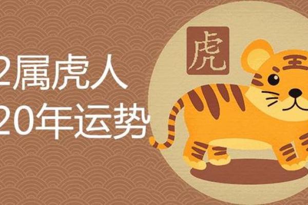 老虎是水命，最佳配命解析与运势指南