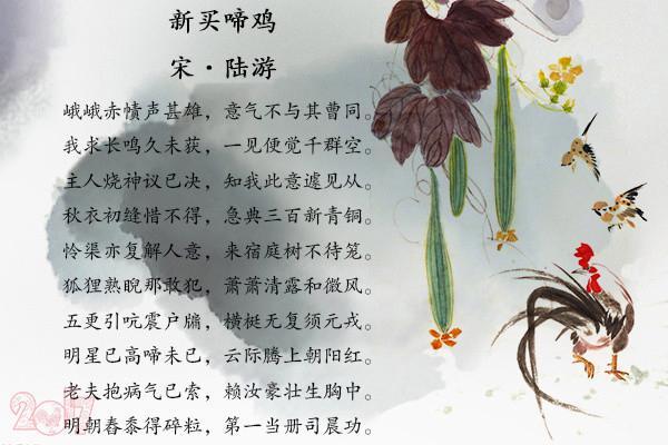 六九年出生的鸡：命格与人生的探讨