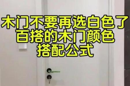 木命人士入户门选择颜色的攻略 为家居增添生机与活力！