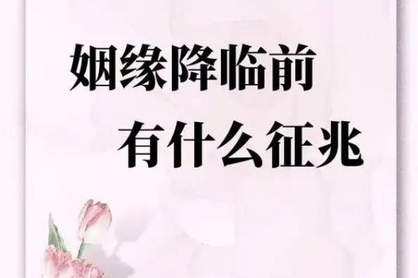 路旁土命的最佳姻缘配对及其启示