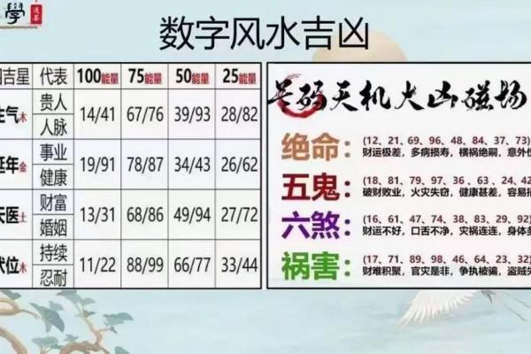 探究离命东四命：你的命理密码与人生方向