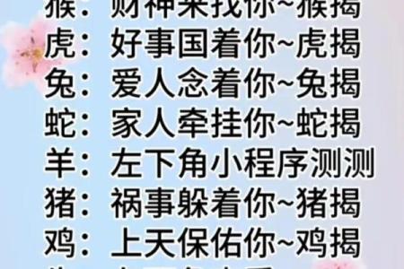 命中注定的生肖：如何根据出生时刻知晓你的生肖命运