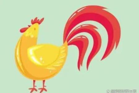 腊月出生的属鸡人：命运与性格的深度探究