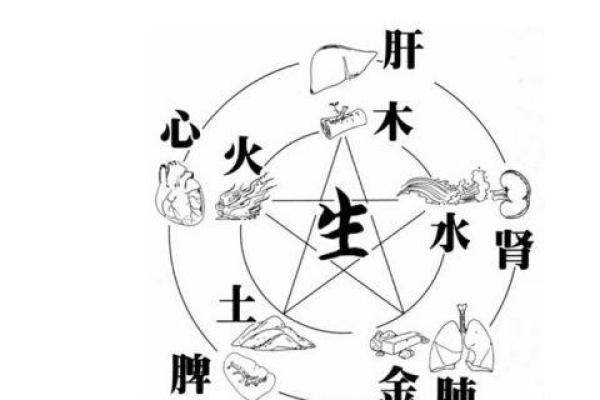 老虎之命：五行中的木之象征与灵性探究