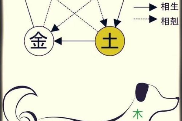 木命人的五行缺失与生活中的调和之道