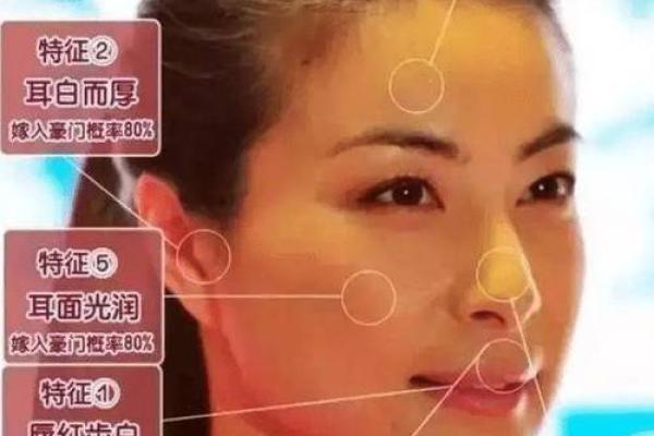 眉毛与五行的奇妙关联：解密面相与命运的密码