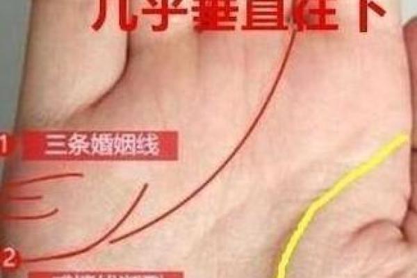 路旁土命女人的命运与性格：探寻她们的特别之处