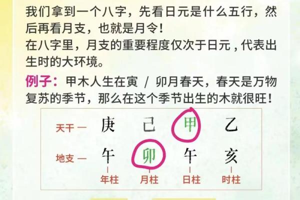 男身女命：探索两性命理与人生的奇妙交汇
