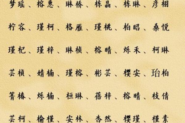 命字的奥秘：探寻命字的偏旁与组合词之美