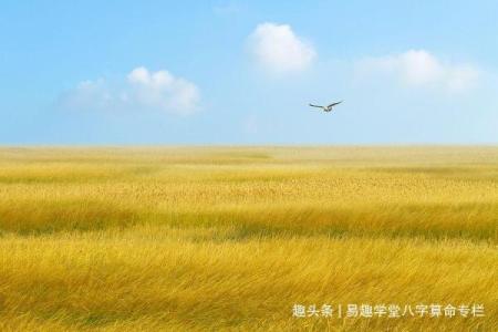 路旁土命适合的婚姻：寻找命理中的完美伴侣