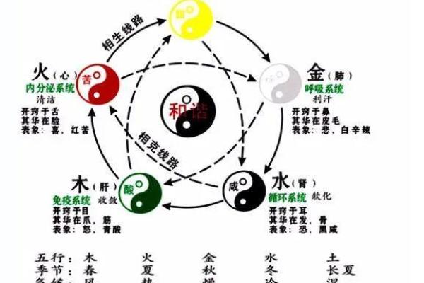 坤命与坎命的神秘探讨：揭示五行中的阴阳之道