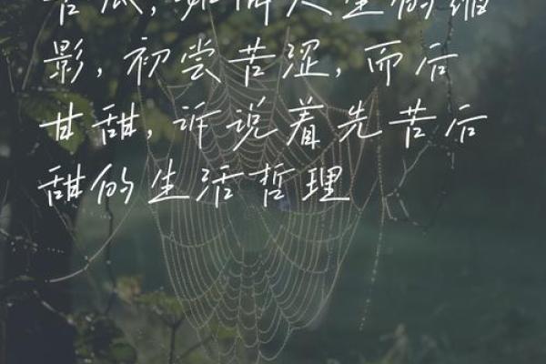 苦瓜命的人生哲学与命运解析：苦中作乐，智勇双全