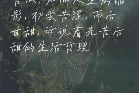 苦瓜命的人生哲学与命运解析：苦中作乐，智勇双全