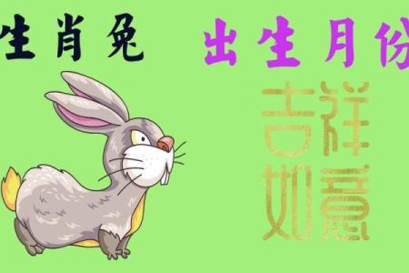 六月出生的兔生肖，命运如何？揭示最佳命格！