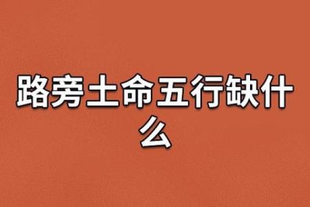 路旁土命的人应该养什么才能旺自己？