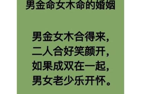 命中“金命”与“木命”的人生启示与发展智慧