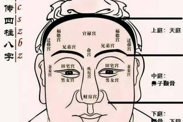 命运与性格：命好的人都有哪些命？