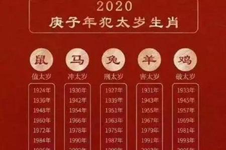 龙与蛇：命理中的神秘关联与运势解析