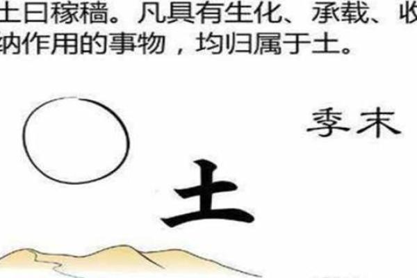 路旁土命与五行命理的冲突与和谐探究