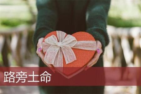 路旁土命详解：在命理中，土的力量如何影响人生走向？