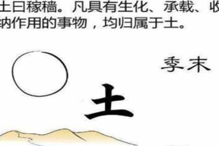 路旁土命与五行命理的冲突与和谐探究