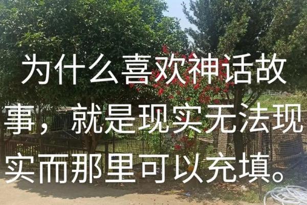 雷神为何吃不到6命九条：解密神话与现实的窘境