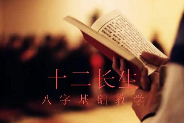 刘恒的八字命理与人生智慧探索
