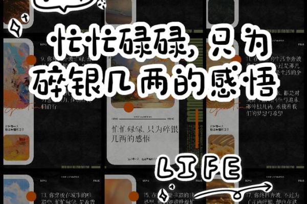 劳命奔波，命凄凉：在忙碌生活中的思考与感悟