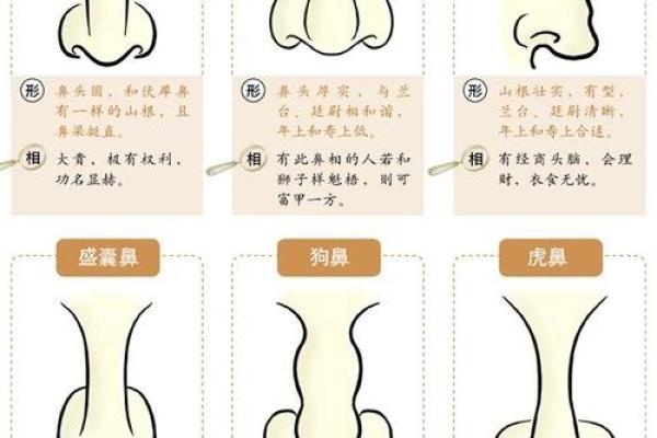 九三年正月鸡是什么命？解读命理与生活的奥秘