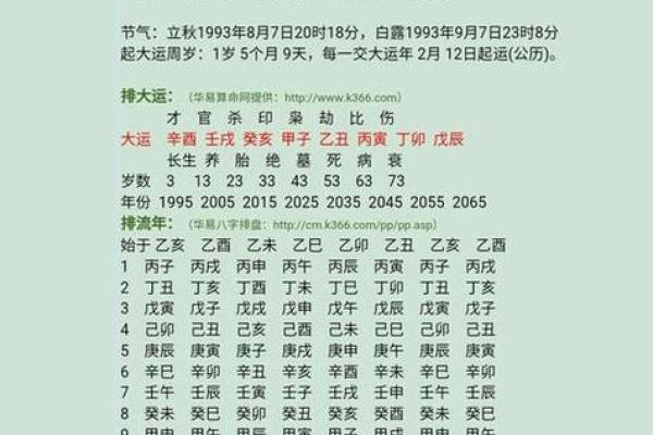 离卦东三命的深刻解析与应用，解锁命理密码！